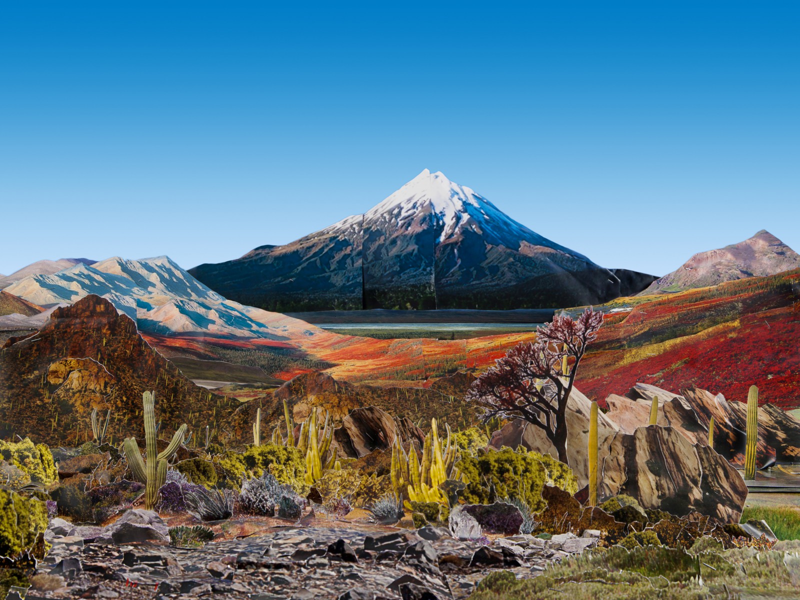 Justine Blau (*1977)