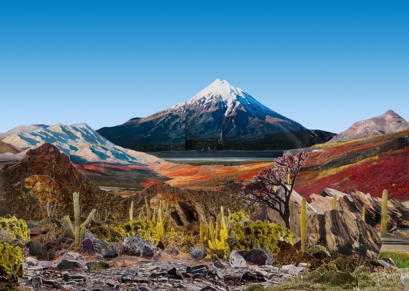 Jacques Edmond Leman (1829-1899)